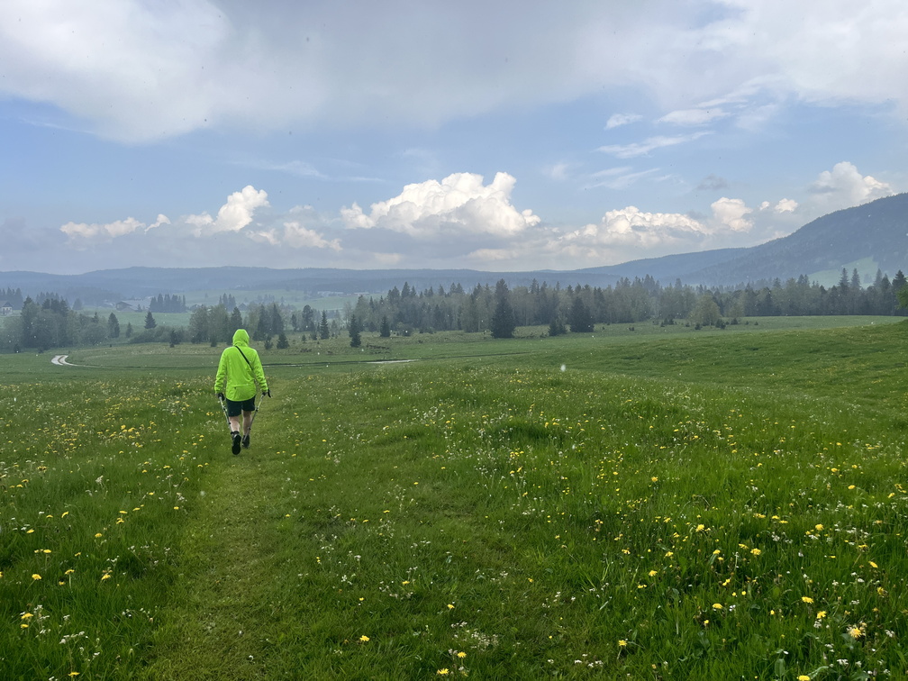 23-05-23 13-50-46 5606